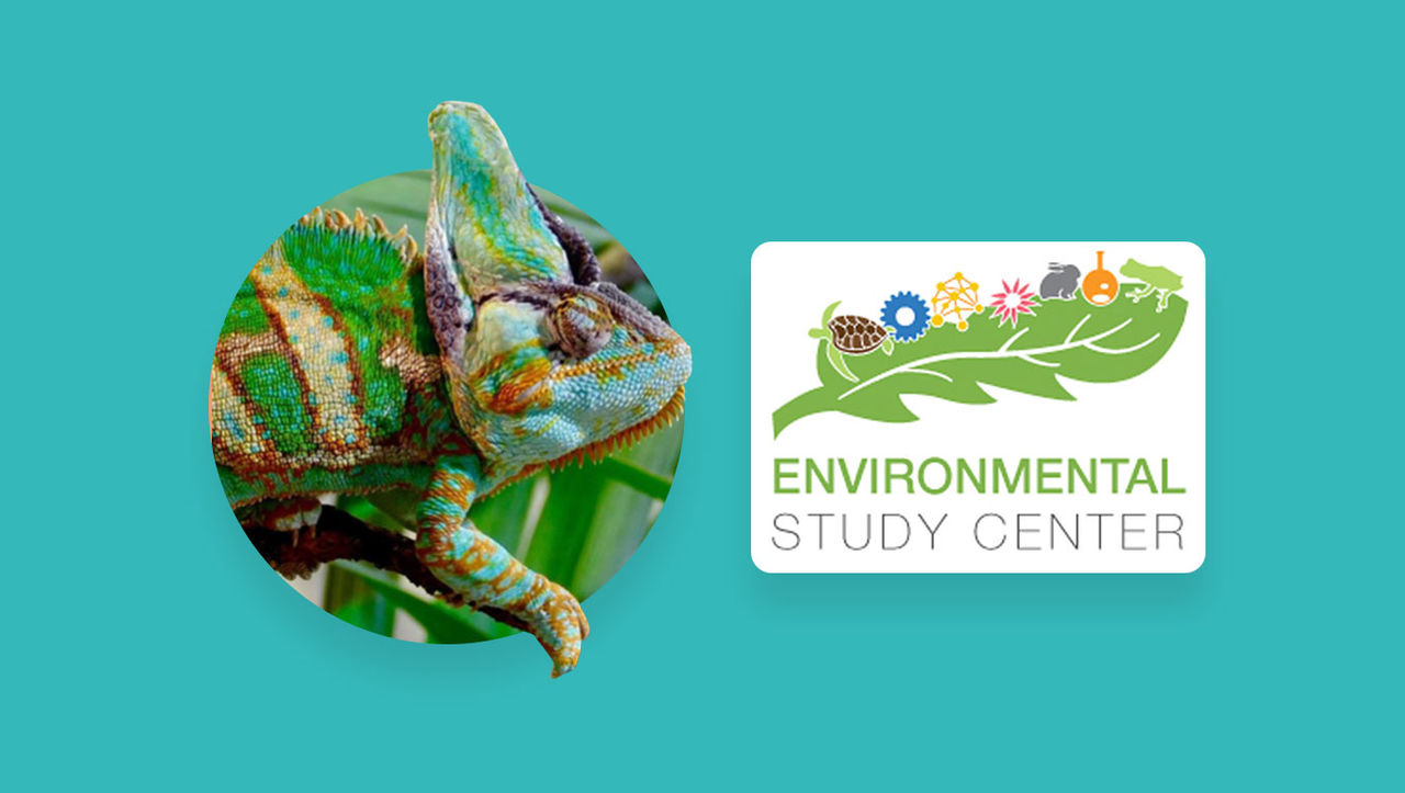 Photo of a chameleon alongside the logo for the Environmental Study Center