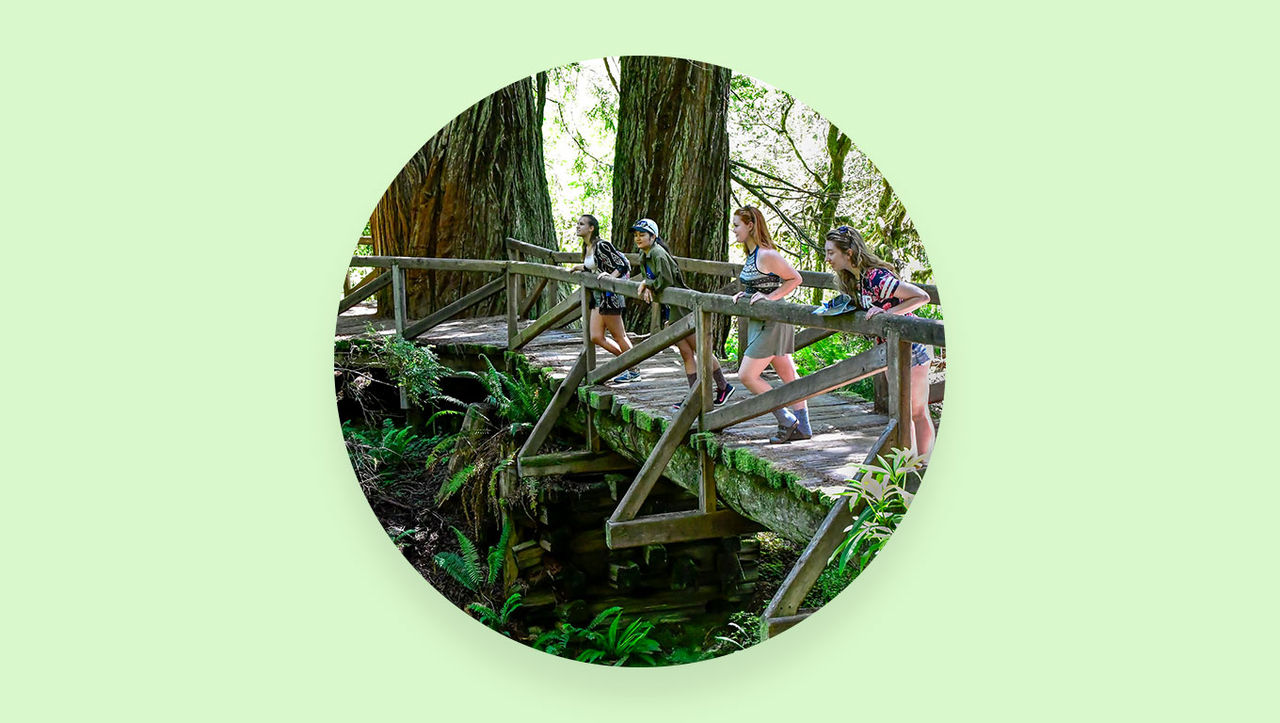 Photo of four women looking over a bridge in a redwood forest